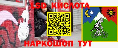 гашик Малгобек