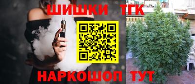 гашик Малгобек